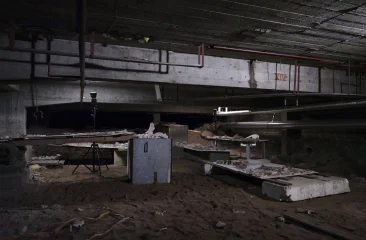 Buried beneath the ground and scattered across the soil